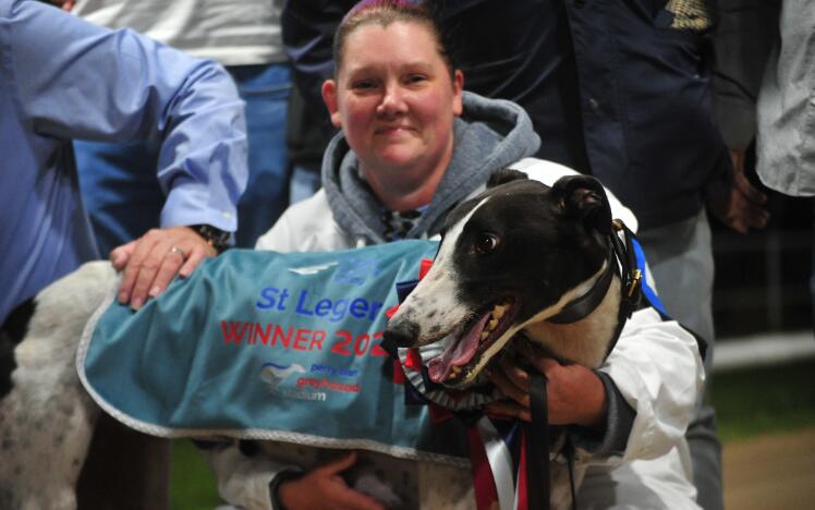 Droopys Clue - winner of the 2023 PGR St Leger.